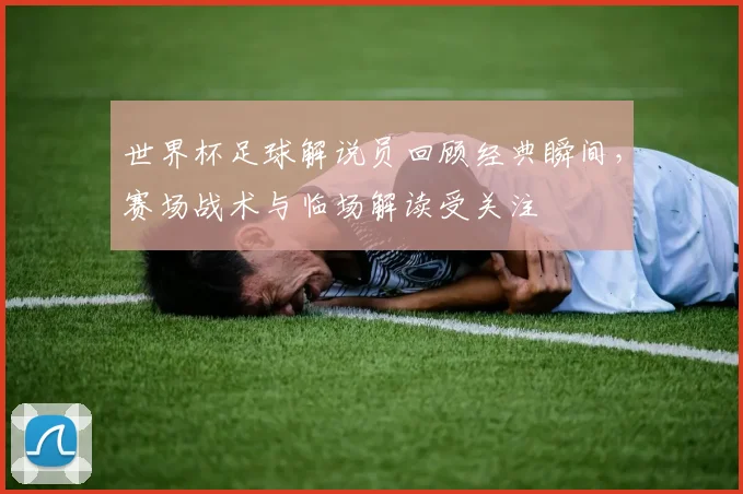 世界杯足球解说员回顾经典瞬间,赛场战术与临场解读受关注