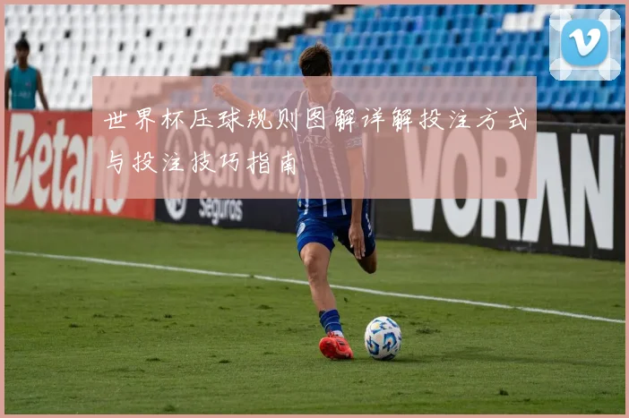 世界杯压球规则图解详解投注方式与投注技巧指南