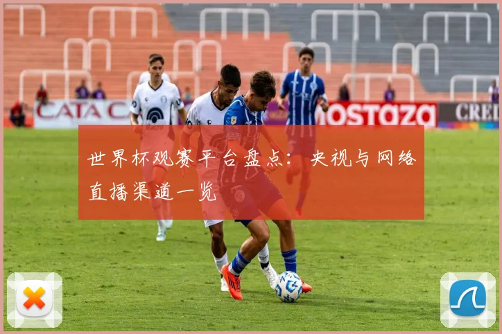 世界杯观赛平台盘点:央视与网络直播渠道一览