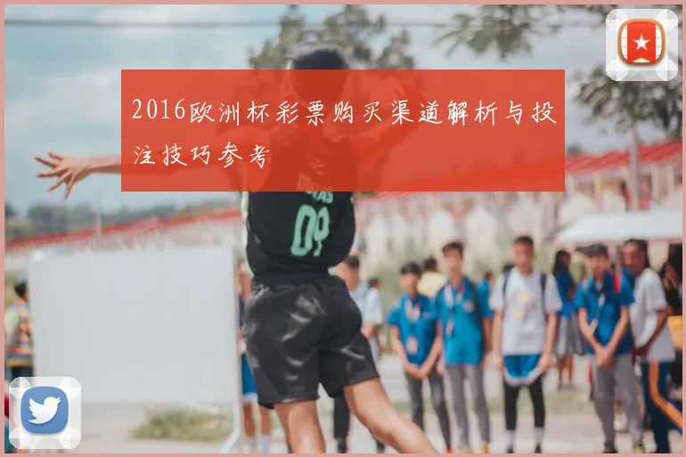 2016欧洲杯彩票购买渠道解析与投注技巧参考